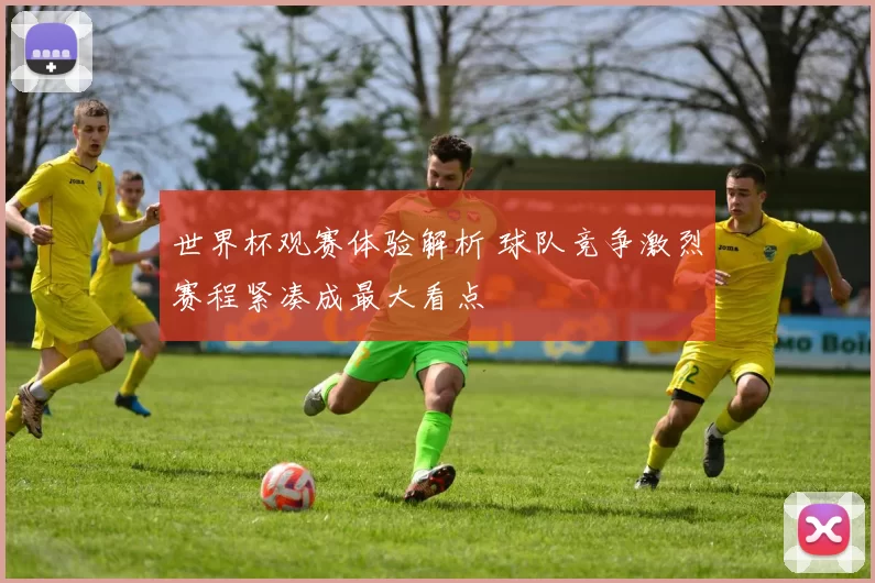 世界杯观赛体验解析 球队竞争激烈赛程紧凑成最大看点