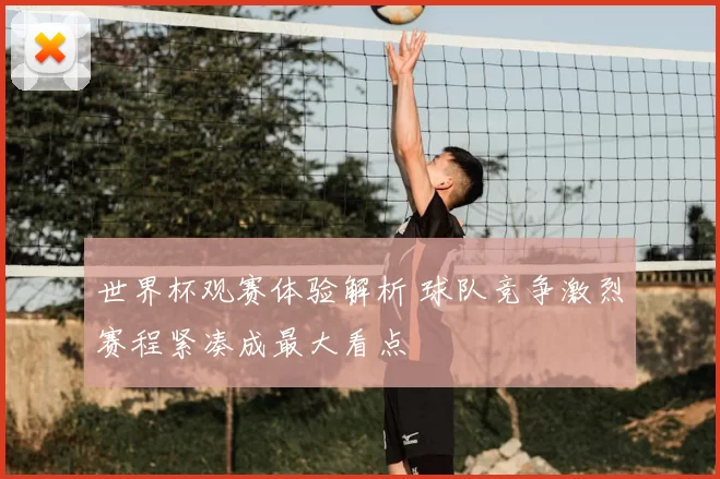 世界杯观赛体验解析 球队竞争激烈赛程紧凑成最大看点
