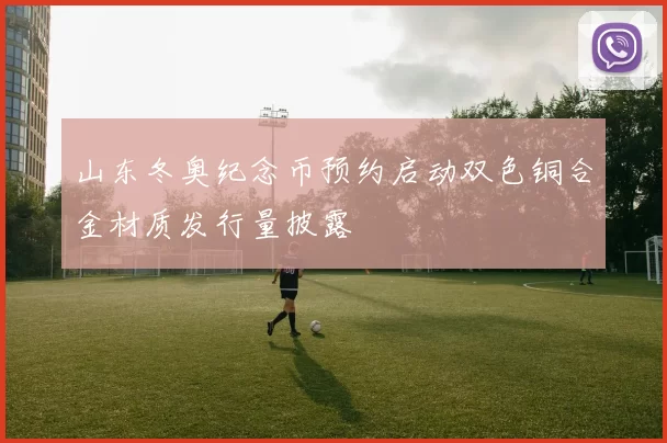 山东冬奥纪念币预约启动双色铜合金材质发行量披露